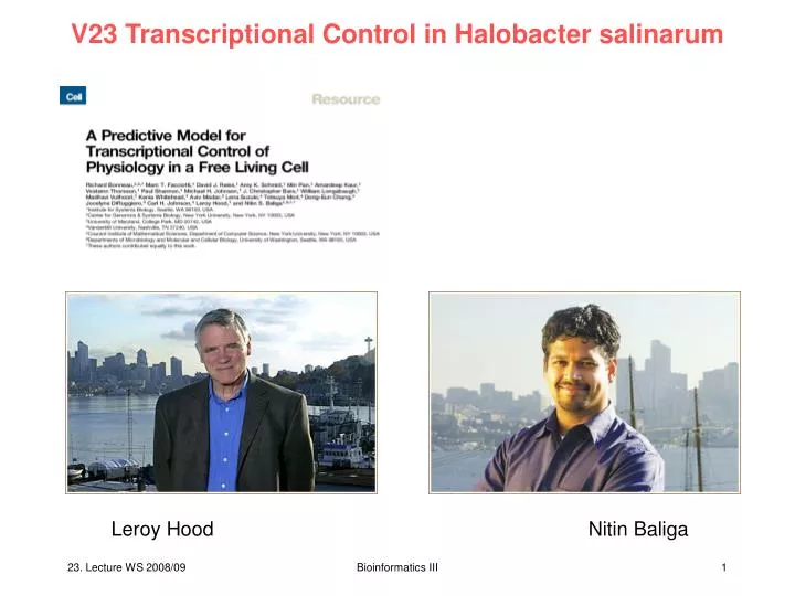 v23 transcriptional control in halobacter salinarum