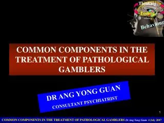 COMMON COMPONENTS IN THE TREATMENT OF PATHOLOGICAL GAMBLERS