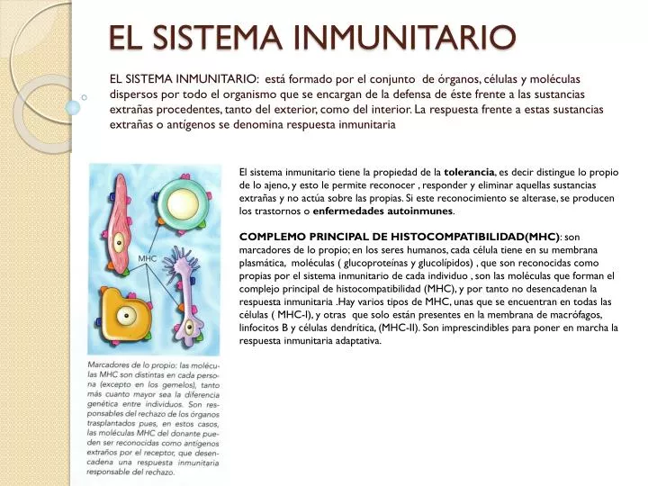 el sistema inmunitario
