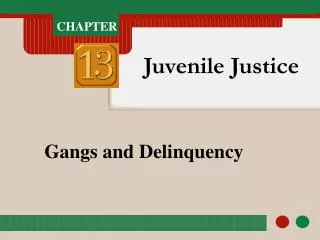 Gangs and Delinquency