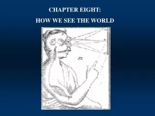 CHAPTER EIGHT: HOW WE SEE THE WORLD