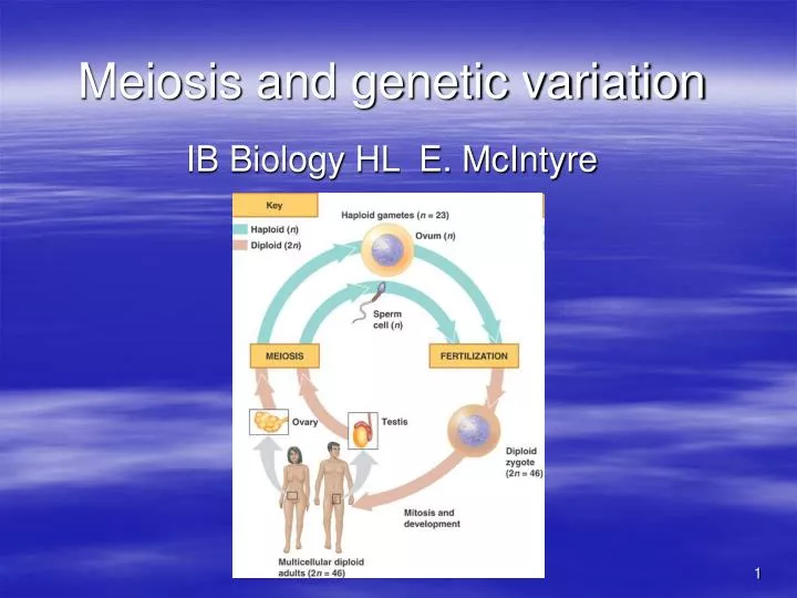 meiosis and genetic variation