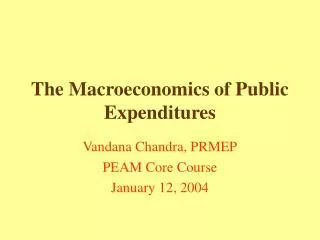 The Macroeconomics of Public Expenditures