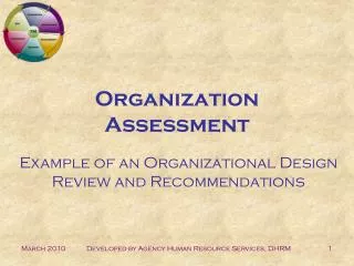 Organization Assessment