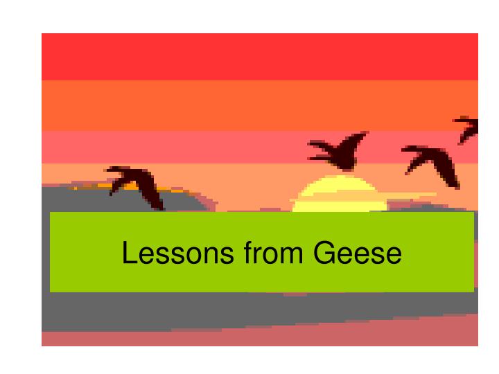 lessons from geese