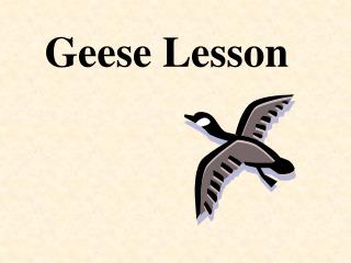 Geese Lesson