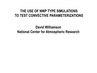 THE USE OF NWP TYPE SIMULATIONS TO TEST CONVECTIVE PARAMETERIZATIONS