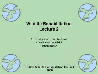 Wildlife Rehabilitation Lecture 2