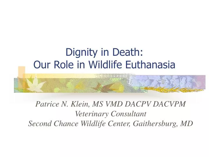 dignity in death our role in wildlife euthanasia