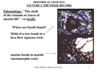 HISTORICAL GEOLOGY LECTURE 3. THE FOSSIL RECORD.