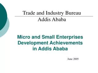 Micro and Small Enterprises Development Achievements in Addis Ababa
