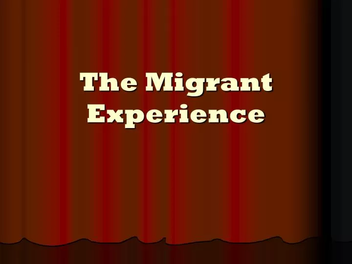 the migrant experience