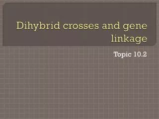Dihybrid crosses and gene linkage