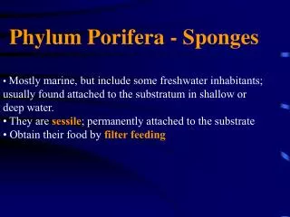 Phylum Porifera - Sponges Mostly marine, but include some freshwater inhabitants; usually found attached to the substrat