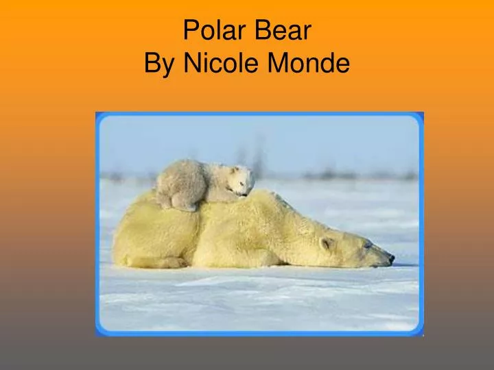 polar bear by nicole monde