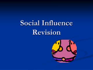 Social Influence Revision