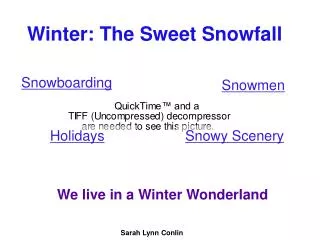 Winter: The Sweet Snowfall