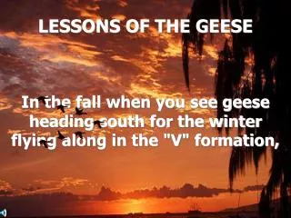 LESSONS OF THE GEESE
