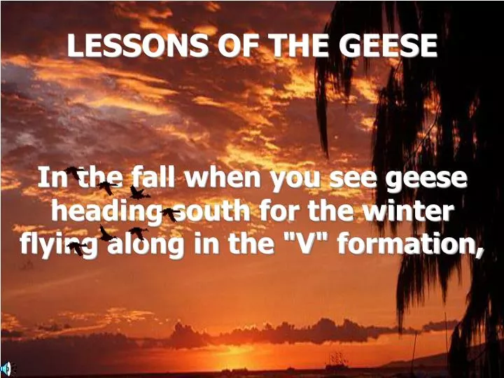 lessons of the geese