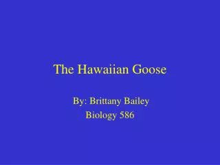 The Hawaiian Goose