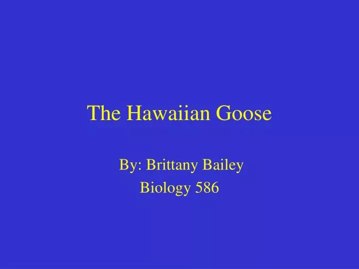 the hawaiian goose