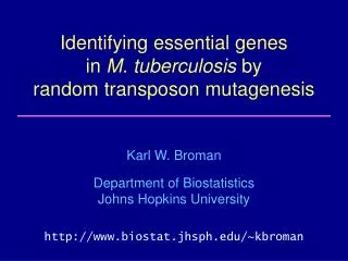 Identifying essential genes in M. tuberculosis by random transposon mutagenesis