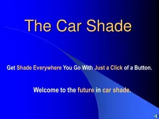 The Car Shade