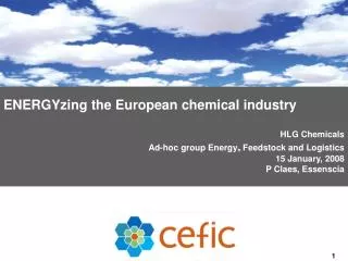 ENERGYzing the European chemical industry HLG Chemicals Ad-hoc group Energy , Feedstock and Logistics 15 January, 2008
