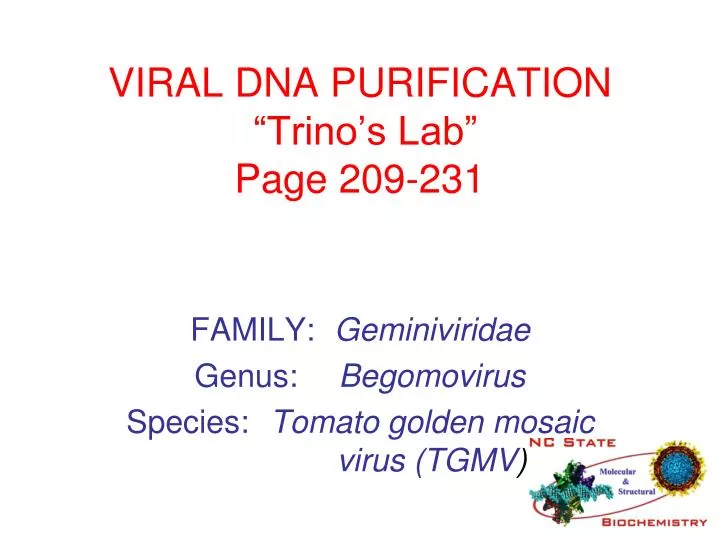 viral dna purification trino s lab page 209 231