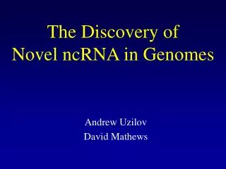 The Discovery of Novel ncRNA in Genomes