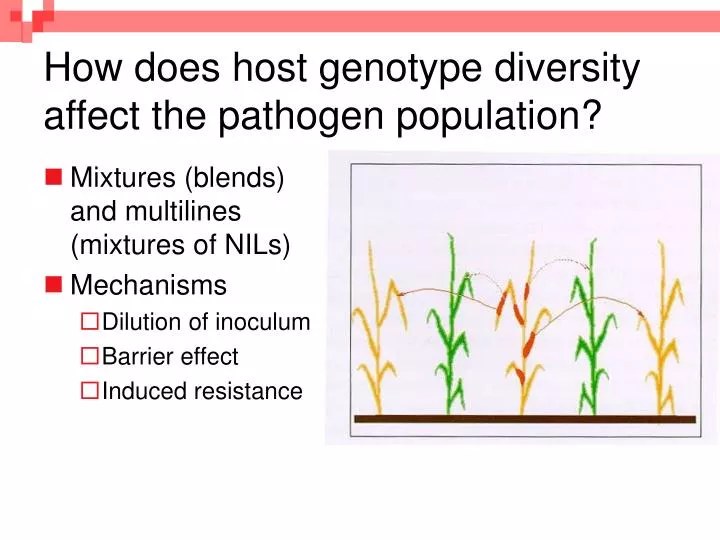 how does host genotype diversity affect the pathogen population