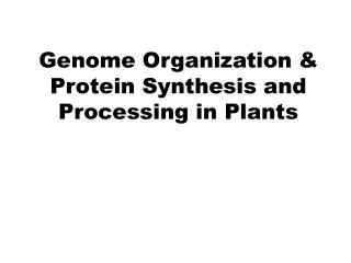 Genome Organization &amp; Protein Synthesis and Processing in Plants