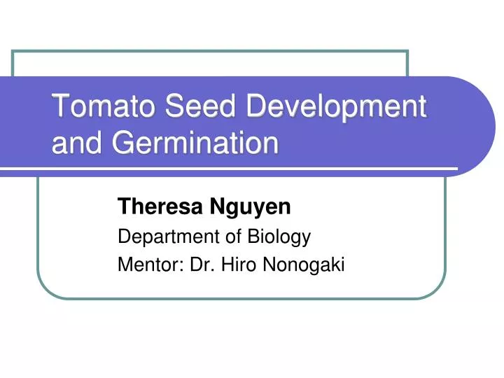 tomato seed development and germination