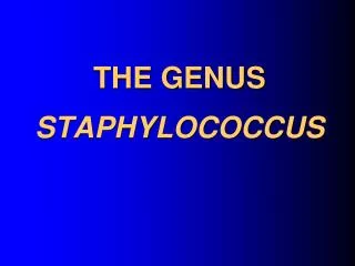 THE GENUS STAPHYLOCOCCUS