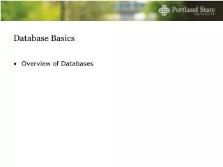 Database Basics