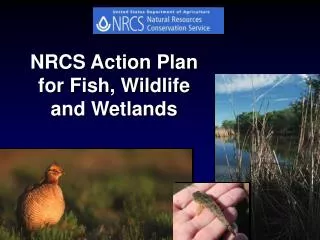 NRCS Action Plan for Fish, Wildlife and Wetlands