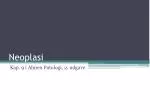 Neoplasi - slide 1
