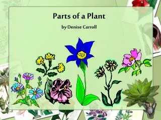 Parts of a Plant by Denise Carroll