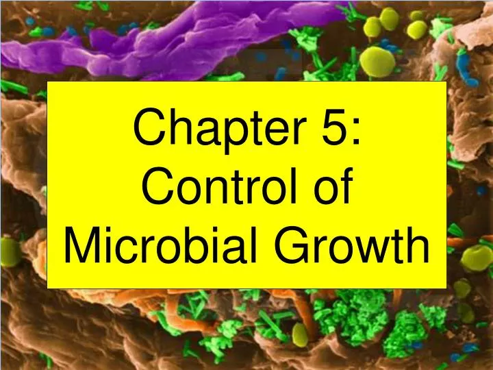 chapter 5 control of microbial growth
