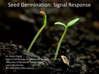 Seed Germination: Signal Response