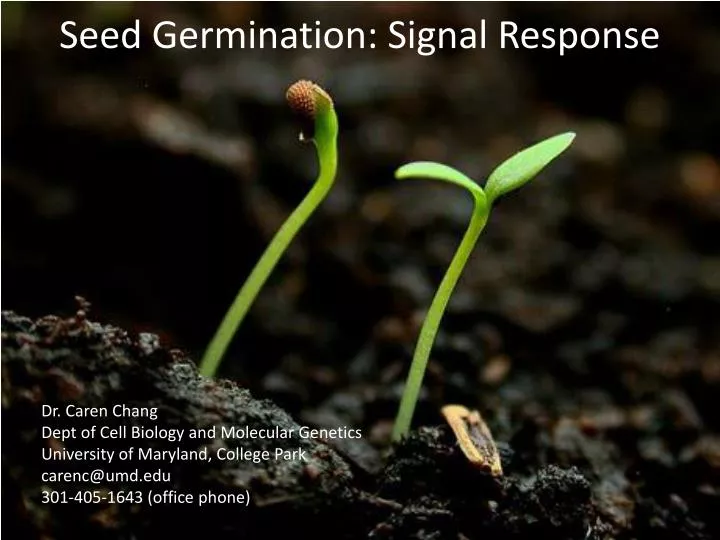 seed germination signal response