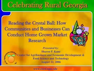 Celebrating Rural Georgia