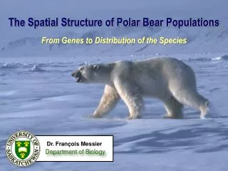 The Spatial Structure of Polar Bear Populations From Genes to Distribution of the Species