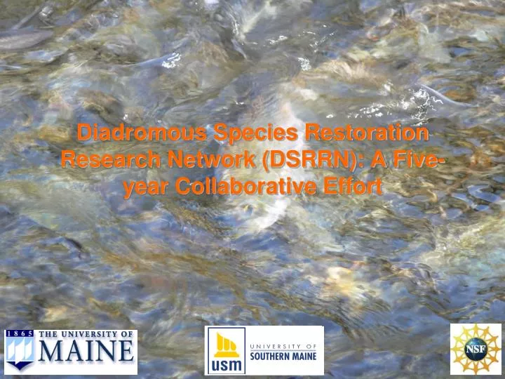 diadromous species restoration research network dsrrn a five year collaborative effort