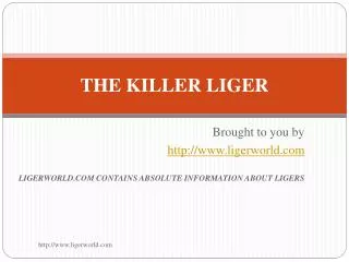 THE KILLER LIGER
