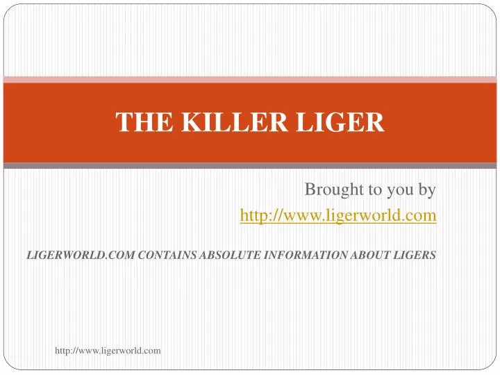 the killer liger
