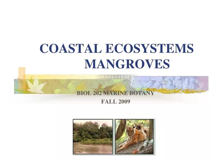 coastal ecosystems mangroves