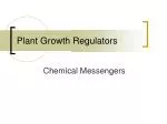Plant Growth Regulators - slide 1