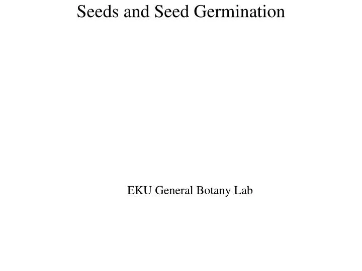 seeds and seed germination