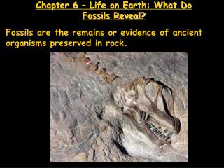 Chapter 6 – Life on Earth: What Do Fossils Reveal?